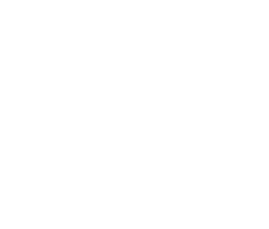 Albert Schweizer Stiftung