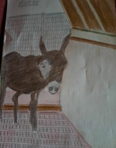 Zeichnung Esel von Herrn Meissner